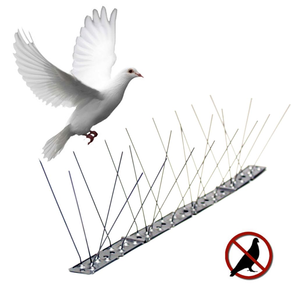 VARILLA DISUASORIA PARA AVES, ANTI PALOMAS, ACERO INOXIDABLE – 100 x 2,5 x 11 cm