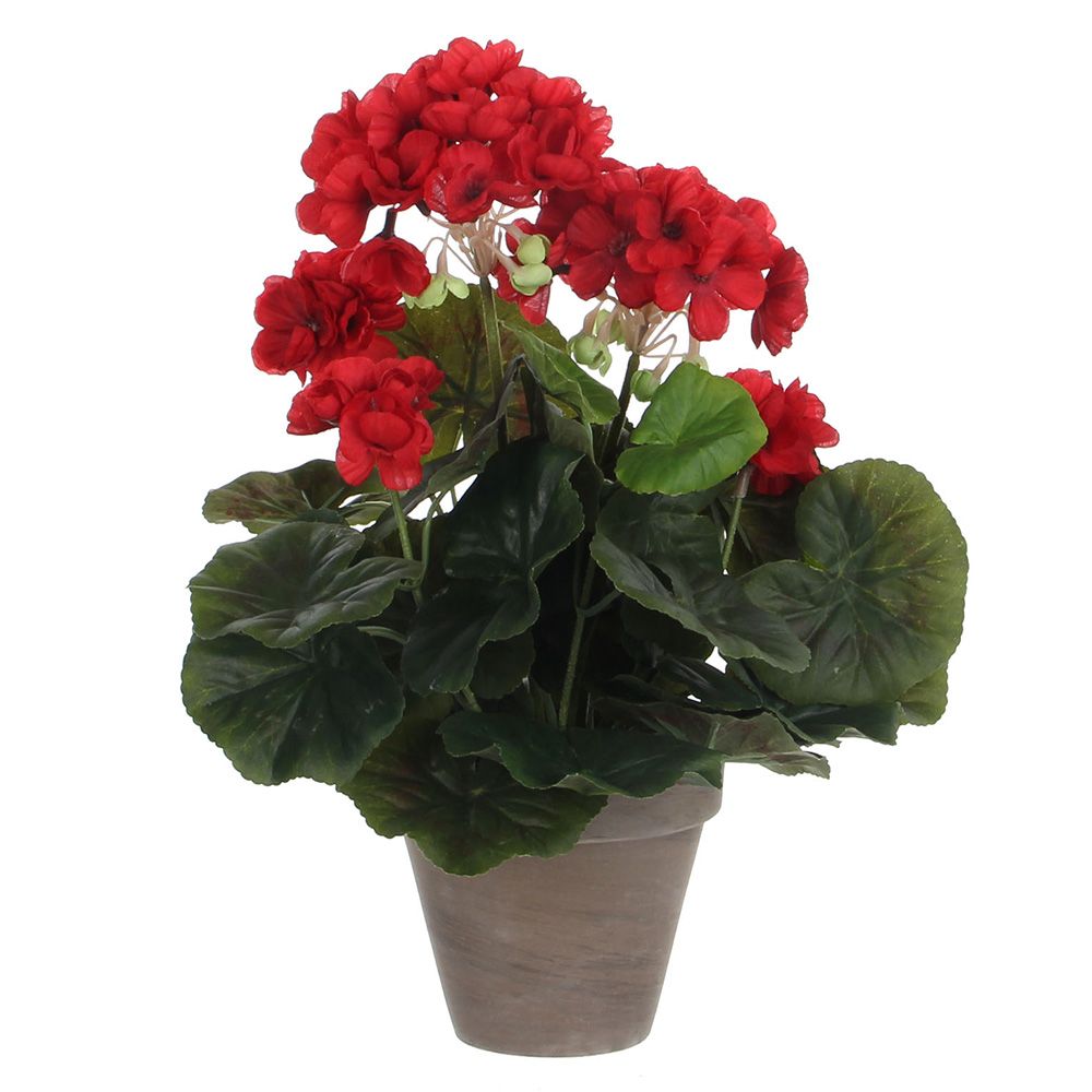 MACETA DE GERANIO ROJO, Ø11,5 x 33 cm
