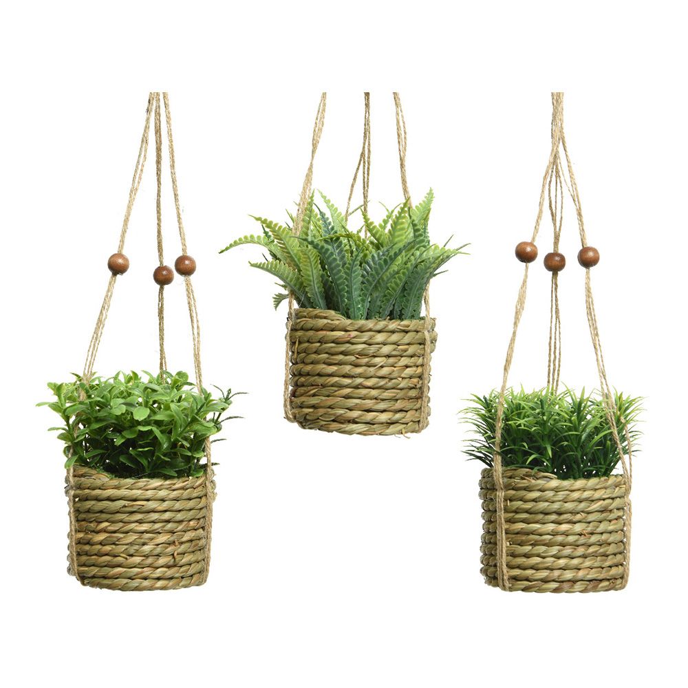 MACETA COLGANTE PLANTA VERDE, Ø8 x 12 cm, MODELOS VARIADOS